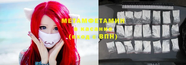 индика Алексин