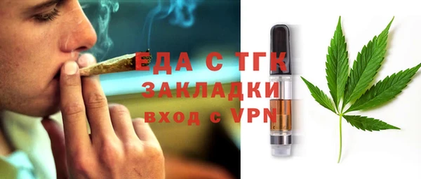 индика Алексин