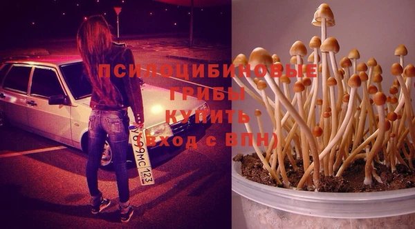 кристаллы Алзамай