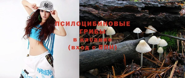индика Алексин