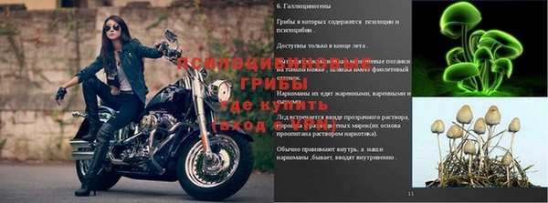 индика Алексин