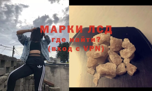 индика Алексин