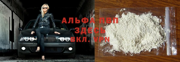 индика Алексин