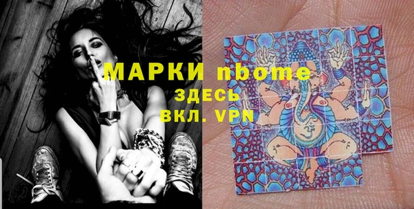 индика Алексин