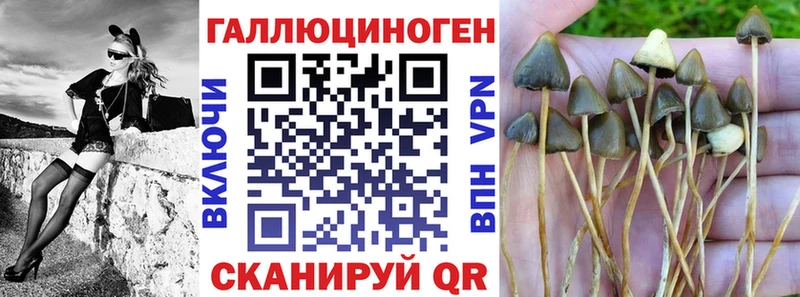 что такое наркотик KRAKEN вход Псилоцибиновые грибы Magic Shrooms Алушта